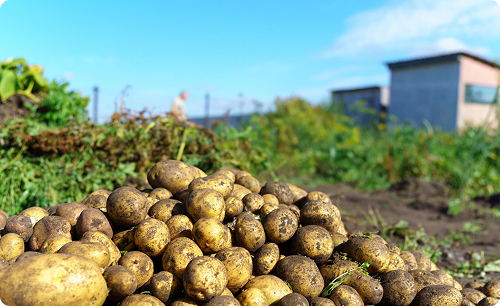 Lack of traceability