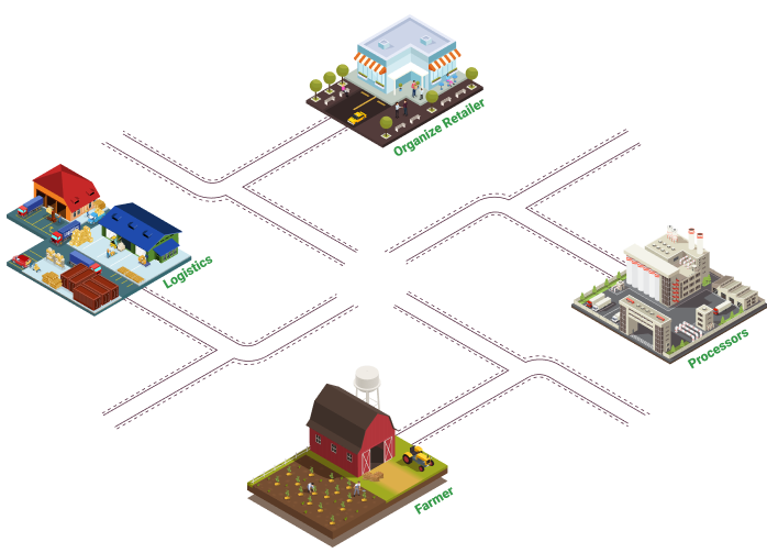 vegt-network-img